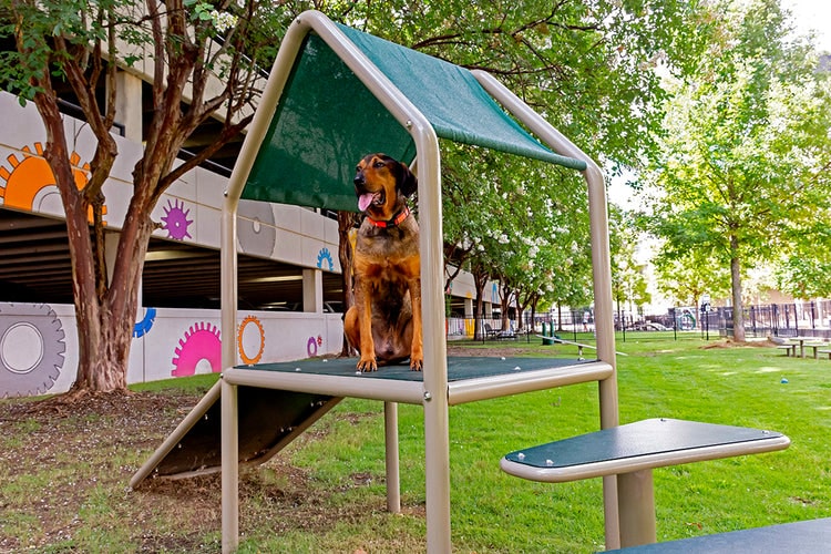 Canine Condos - Dog Play Structures